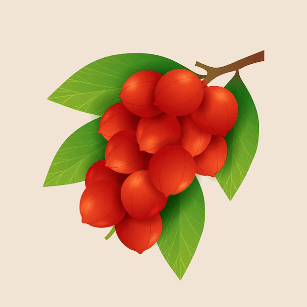 ঈদের